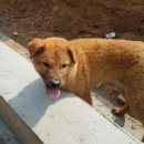 삼서초등학교 이미지