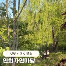 자연도시락 | [인천] 피크닉 장소 추천 | 연희자연마당 도시락 피크닉 후기 + 주차 꿀팁까지!
