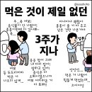 소소호호 이미지