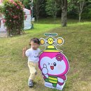 [울산대공원 장미축제] 울산 장미축제 막차 탑승! 오픈부터 바글바글 방문 후기🌹
