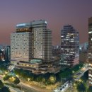 강남-237 이미지