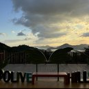 소리의 숲 이미지