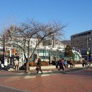 면목동-159 이미지