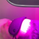 모프로의원 이미지