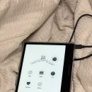 오닉스 북스 리프3 페이지 직구 후기 : 이북리더기 악세사리 추천! 윌비 클립온 스트랩 좀비베리어 보호...