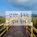 강진 갈대축제/강진만 춤추는 갈대축제