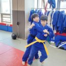 용인대 현풍 유도&주짓수 이미지