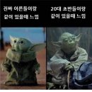 비다노래빠 | 9월 일상 : 집 고양이를 만나본 적 있나요?