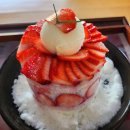 순창군청 | 순창 카페 추천 | 광주 한옥 카페 전주 맛집 카페 화양연화에서 생딸기 빙수 후기