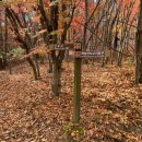 적상면사무소 | 무주여행 단풍명소 적상산 사고지 주차, 내부 볼거리 및 문화관광해설 안내