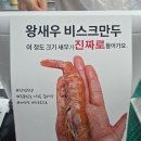 은마왕만두 | 대치동 은마왕만두 신메뉴 '왕새우 비스크 만두' 내돈내산 후기 | 통새우 크기 실화?