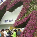 꽃누리 이미지