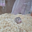 (주)폴리모프 이미지