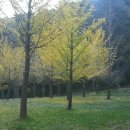 흙집펜션 이미지