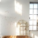 상무동물병원 이미지