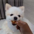 봉구냠냠 이미지