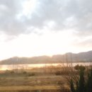 카페고니 이미지