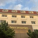 위 (We)모텔 | 서귀동] 제주애견동반호텔 헤이, 서귀포 재방문 후기 // 펫 디럭스 더블 -> 펫 디럭스 트윈 룸 업그레이드