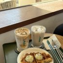 제주 애월 [카페멜록]고즈넉하고 아늑한 고내포구 앞 카페 다녀왔어요 !내돈내산 후기