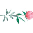 세진커텐장식 이미지