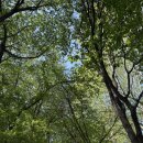 브레드앤워크 | 기대이상의 빵 양재천 까페 거리 브레드앤워크 추천 비추천 시그니쳐 메뉴 솔직후기
