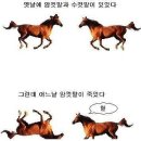 혼돈 이미지