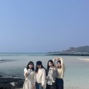 Jeju 🏝️🐬🍊