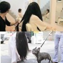 동아미용실 이미지