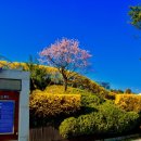 동해시청 이미지