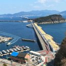 오동나무공원 | 여수 가볼만한곳 한려해상국립공원 오동도 동백열차 동백꽃