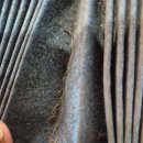 대박손세차장 | 대천자동차실내크리닝,자동차광택을 대박스팀손세차장에서 완벽하게 했어요.