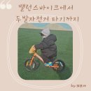 SN바이크 | ::밸런스바이크에서 두발자전거 타기까지:: 내돈내산 찐후기 (퍼스트바이크, 스트라이더 14인치+보조바퀴)