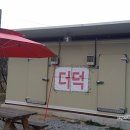 평창백덕산더덕 이미지