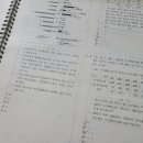 밤도리PSAT 이미지