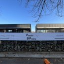 people puppy 이미지