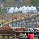 섬강목장 이미지