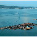 바다농장 이미지