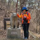 3월18일(토)천마산팔현계곡야생화 이미지