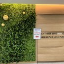 광명극장 공연장 이미지