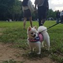 미미하우스 이미지