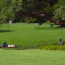 오오극장 이미지