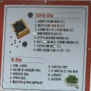 [여수 시청 맛집] 행운마을 | 모든 메뉴가 만원대!? 가성비 넘치는 여수현지인 맛집 | 칼국수, 치즈...