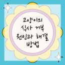 권선구 고려병원 이미지