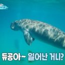 듀공