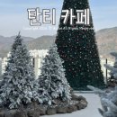카페051정관 | 기장 탄티 카페 내돈내산 후기 정관 가볼만한곳