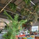 선바위역 | [재방문] 과천 케이원카페ㅣ과천 선바위역 브런치 맛집 솔직후기