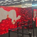 마트짱 맞은편 이미지