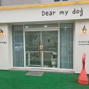 디어 마이 독 이미지