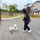만경여자고등학교 이미지
