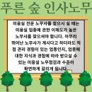 푸른숲법무사사무소